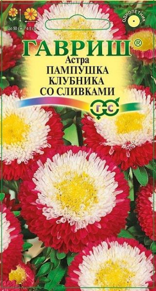 Однолетник Астра Пампушка клубника со сливками Гавриш