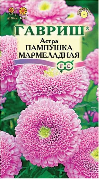 Однолетник Астра Пампушка мармеладная Гавриш