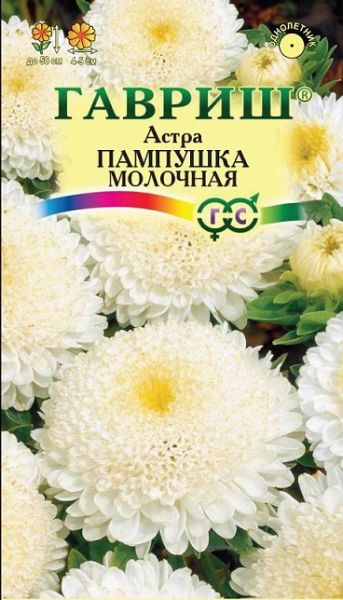 Однолетник Астра Пампушка молочная Гавриш