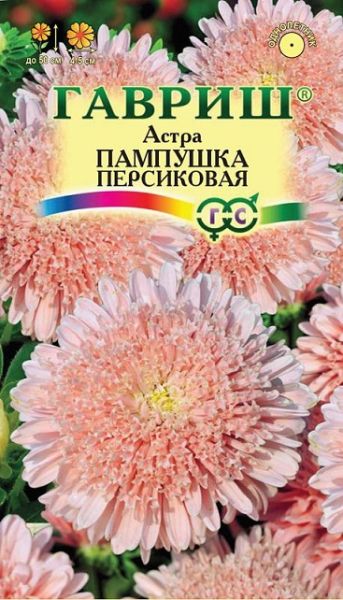 Однолетник Астра Пампушка персиковая Гавриш