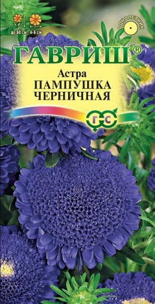 Однолетник Астра Пампушка черничная Гавриш