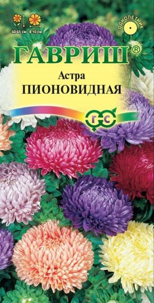 Однолетник Астра Пионовидная Гавриш