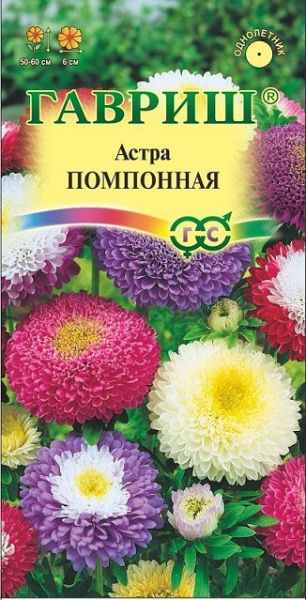 Однолетник Астра Помпонная Гавриш