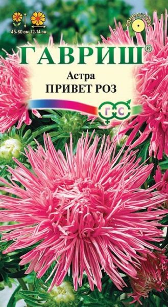 Однолетник Астра Привет роз Гавриш