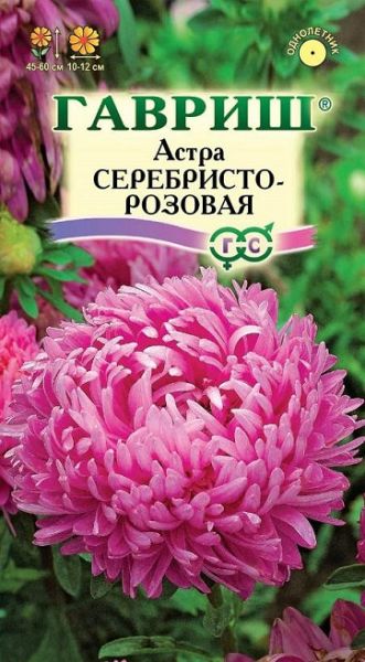 Однолетник Астра Серебристо-розовая Гавриш