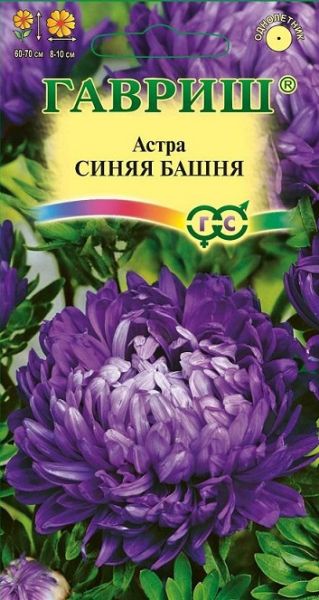 Однолетник Астра Синяя башня Гавриш