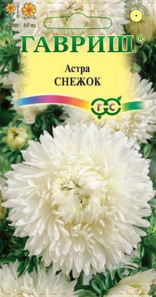 Однолетник Астра Снежок Гавриш