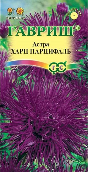 Однолетник Астра Харц Парцифаль Гавриш
