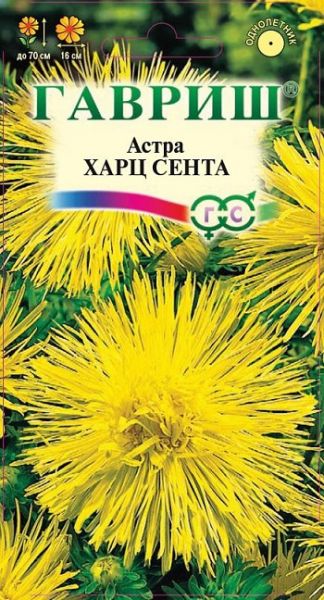 Однолетник Астра Харц Сента Гавриш