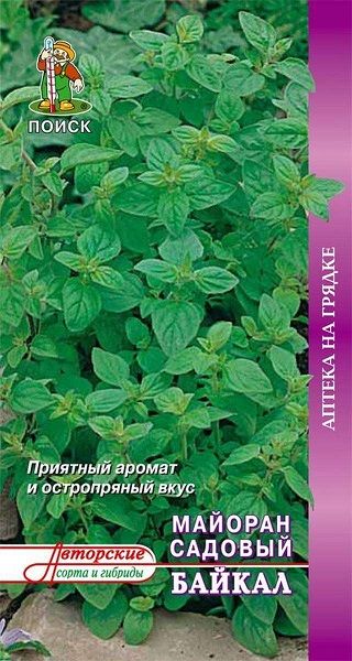 Майоран садовый БАЙКАЛ ЦВ Поиск