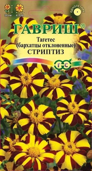 Однолетник Бархатцы откл. Стриптиз Гавриш