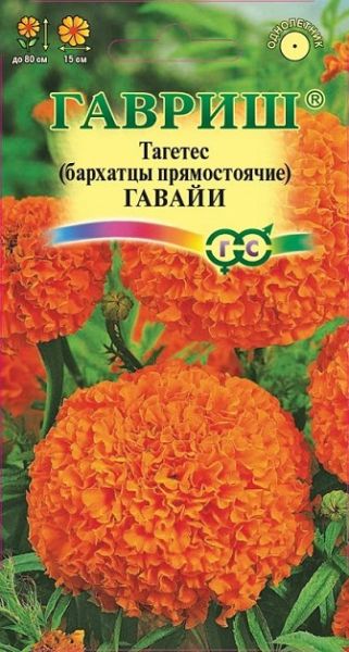 Однолетник Бархатцы пр. Гавайи Гавриш