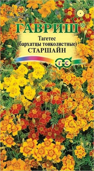 Однолетник Бархатцы тонколист. Старшайн Гавриш