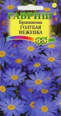 Однолетник Брахикома Голубая неженка Гавриш
