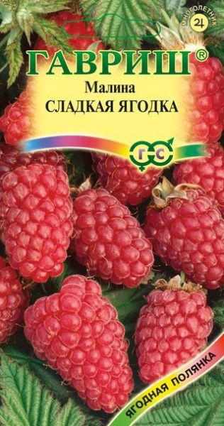 Малина СЛАДКАЯ ЯГОДКА Гавриш