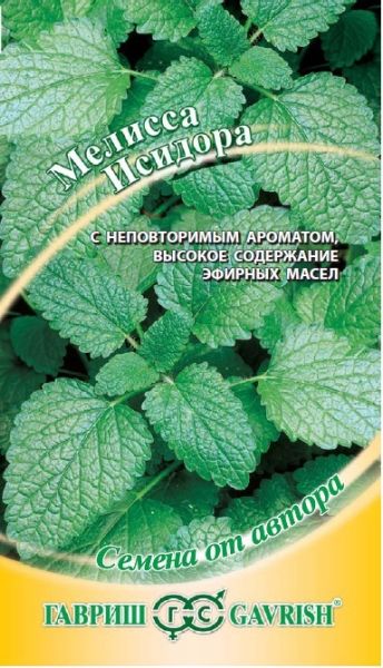 Мелисса лекарственная ИСИДОРА автор. Гавриш