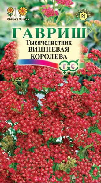 Многолетник Тысячелистник Вишневая королева Гавриш