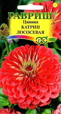 Однолетник Цинния Катрин лососевая Гавриш