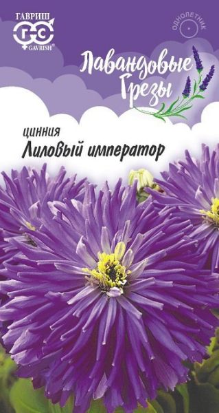 Однолетник Цинния Лиловый император Лавандовые грезы Гавриш