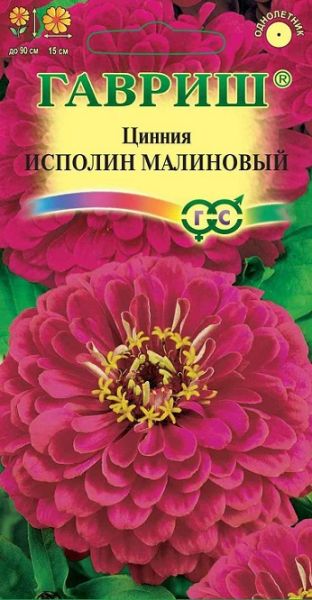 Однолетник Цинния Исполин малиновый Гавриш