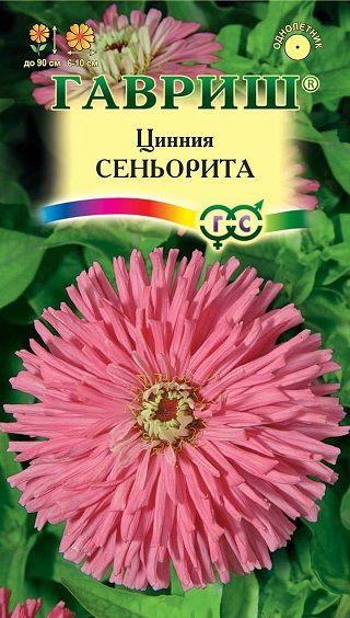 Однолетник Цинния Сеньорита Гавриш