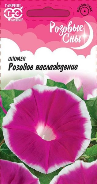 Однолетник Ипомея Розовое наслаждение Розовые сны Гавриш