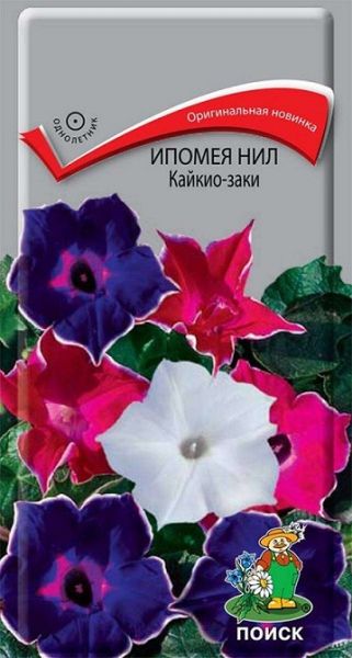 Однолетник Ипомея Нил Кайкио-заки ЦВ Поиск