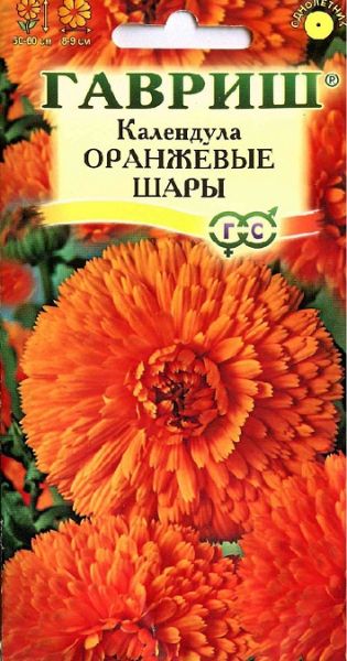 Однолетник Календула Оранжевые шары Гавриш