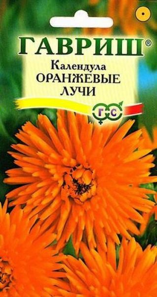 Однолетник Календула Оранжевые лучи Гавриш