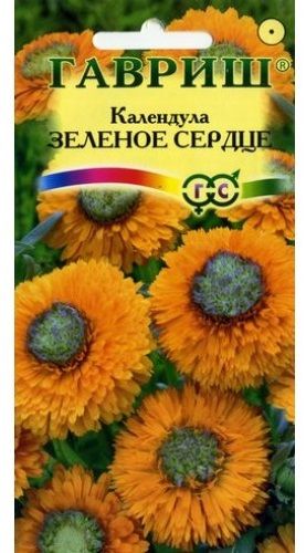 Однолетник Календула Зелёное сердце Гавриш