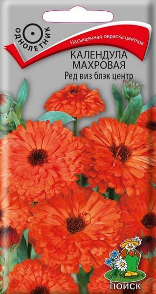 Однолетник Календула махровая Ред виз блэк центр ЦВ Поиск