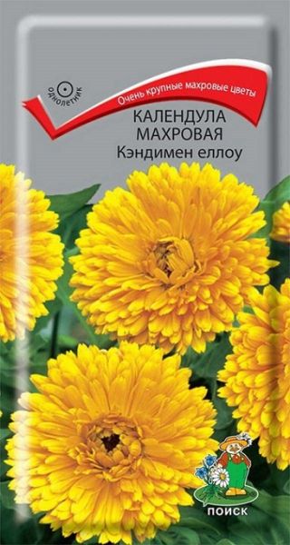 Однолетник Календула махровая Кэндимен Еллоу ЦВ Поиск