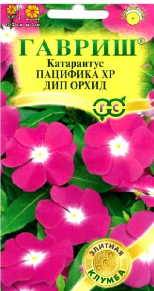Однолетник Катарантус Пацифика XP Дип Орхид Элитная клумба Гавриш