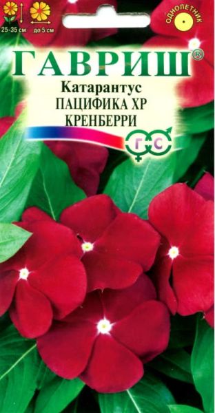 Однолетник Катарантус Пацифика XP Кренберри Элитная клумба Гавриш