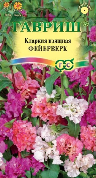 Однолетник Кларкия Фейерверк Гавриш