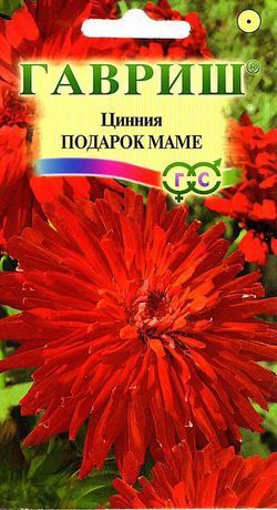 Однолетник Цинния Подарок Маме Гавриш
