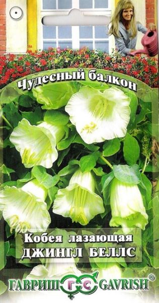 Однолетник Кобея Лазающая Джингл беллс Чудесный балкон Гавриш