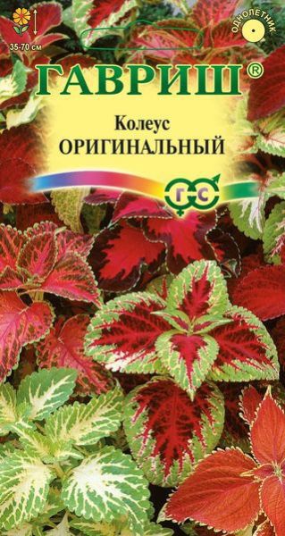 Однолетник Колеус Оригинальный Гавриш