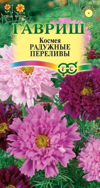 Однолетник Космея махровая Радужные переливы Гавриш
