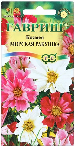 Однолетник Космея Морская ракушка Гавриш