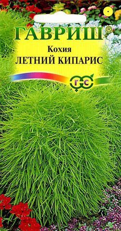 Однолетник Кохия Летний кипарис Гавриш