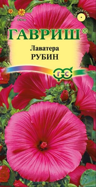 Однолетник Лаватера Рубин Гавриш