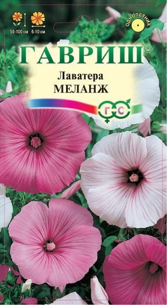 Однолетник Лаватера Меланж Гавриш