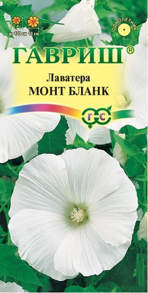 Однолетник Лаватера Монт Бланк Гавриш