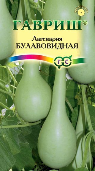 Лагенария Булавовидная Гавриш