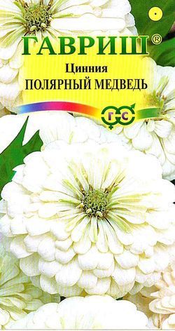 Однолетник Цинния Полярный медведь изящная Гавриш