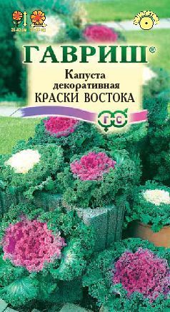 Капуста декоративная КРАСКИ ВОСТОКА Гавриш
