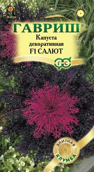 Капуста декоративная САЛЮТ Гавриш