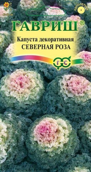 Капуста декоративная СЕВЕРНАЯ РОЗА воронежская розовая Гавриш