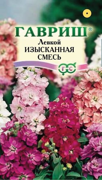 Однолетник Левкой Изысканная смесь Сад ароматов Гавриш